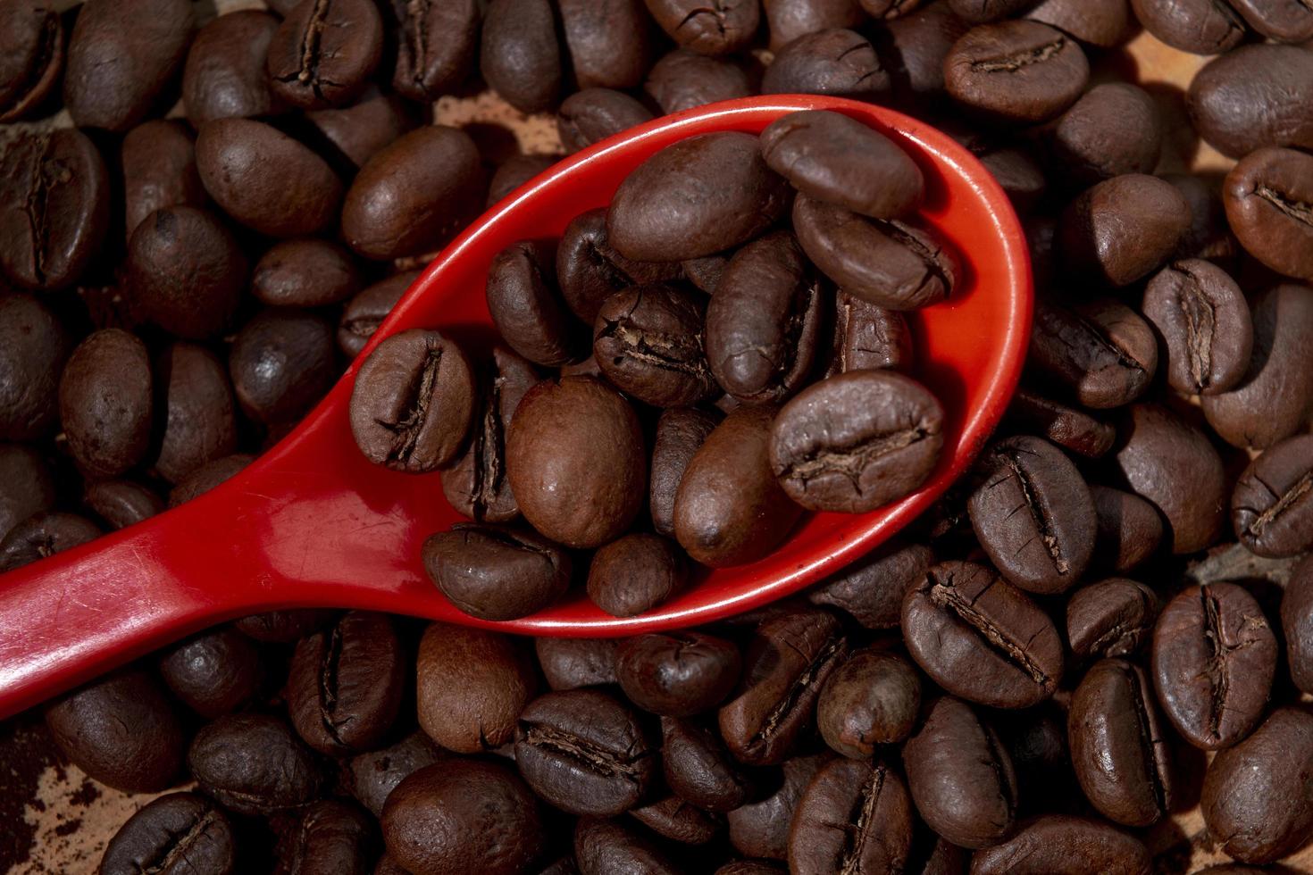 coffee beans on red plastic spoon photo