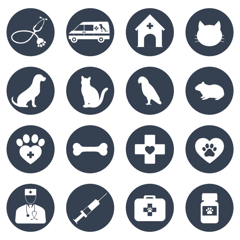 Set of icons for veterinary medicine vector