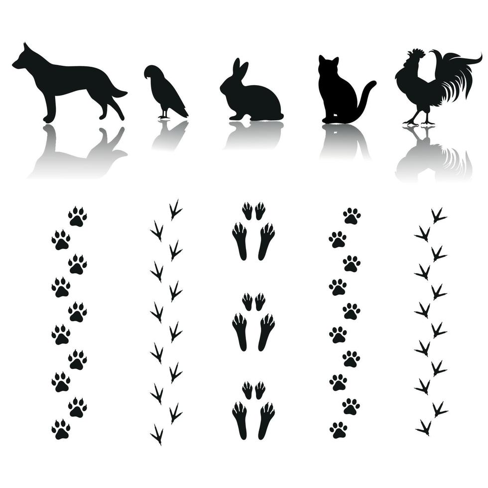 Set of pets with footprints vector