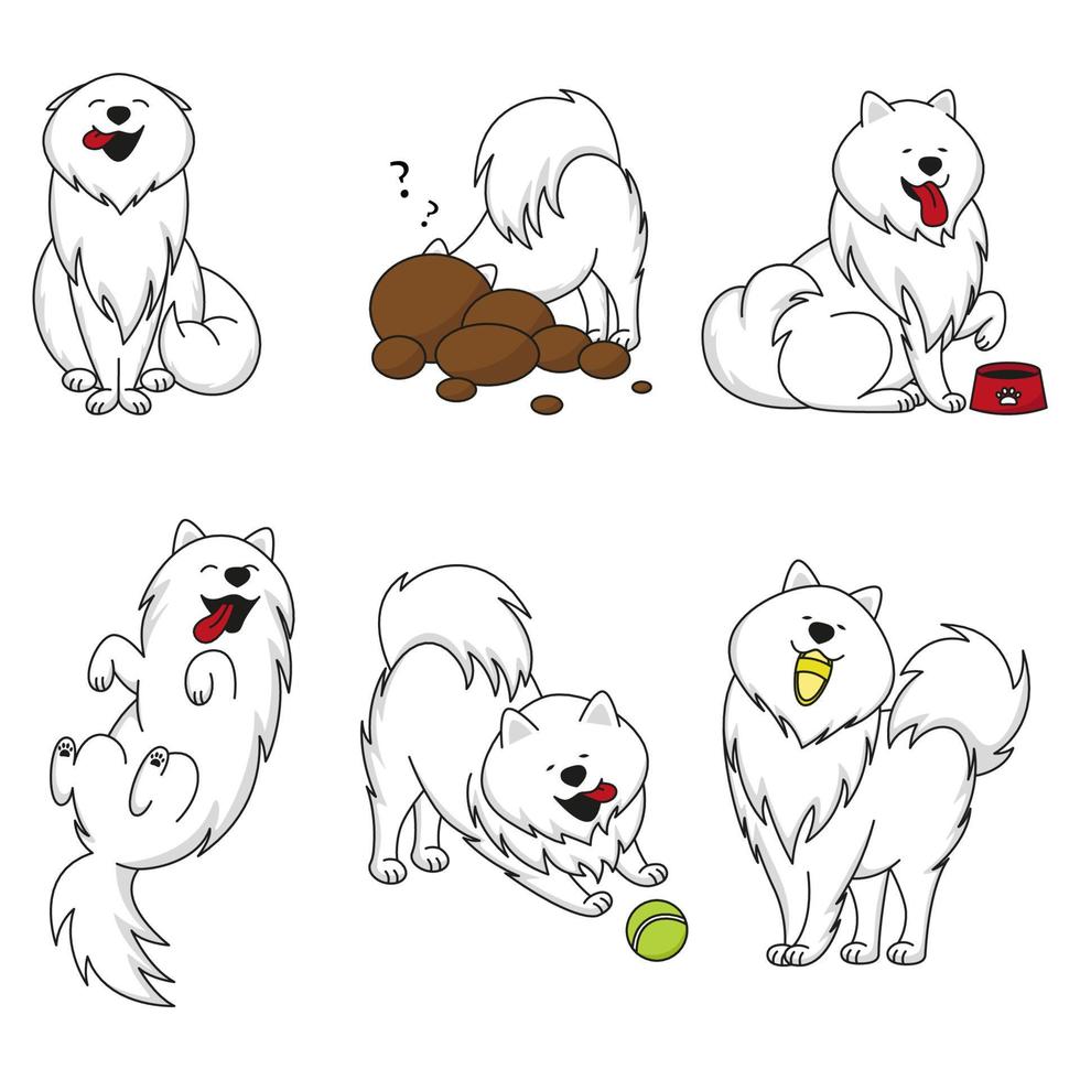 vector set of samoyed in different poses