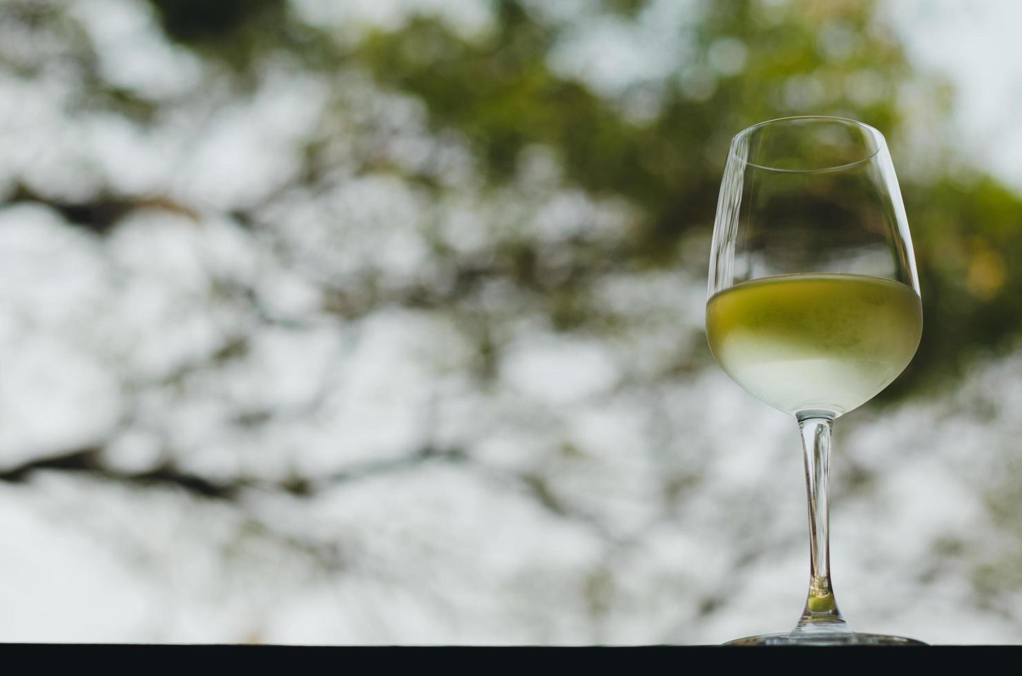 una copa de vino blanco en la mesa con un fondo de árbol borroso. foto