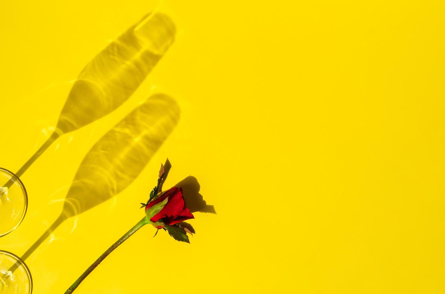 Red rose with two Champagne glasses's shadow on yellow background. photo