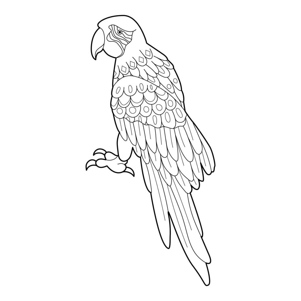 Contour linear illustration for coloring book with decorative parrot. Beautiful bird, anti stress picture. Line art design for adult or kids in zen tangle style, tatoo and coloring page. vector