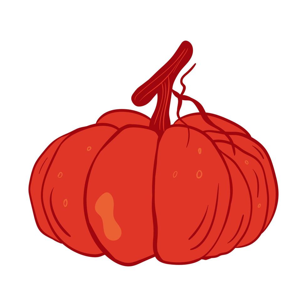 Cute autumn pumpkin. Vector illustration with doodles in the theme of cozy autumn.A cute element for greeting cards, posters, stickers and seasonal design. Isolated on a white background