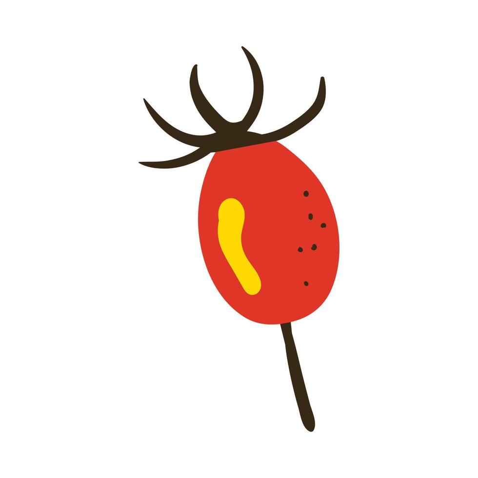 Rosehip. Vector illustration with doodles on the theme of cozy autumn.A cute element for greeting cards, posters, stickers and seasonal design. Isolated on a white background.