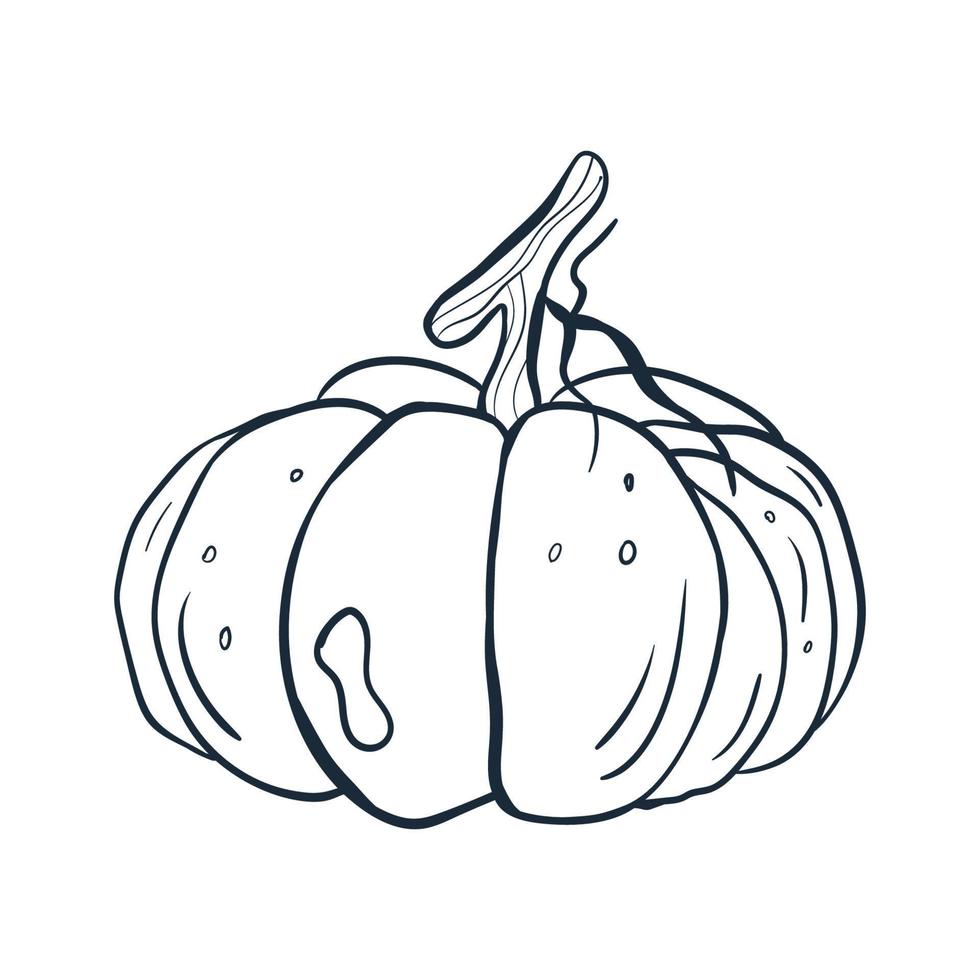 Pumpkin line art . Vector illustration with doodles on the theme of cozy autumn.A cute element for greeting cards, posters, stickers and seasonal design. Isolated on a white background.
