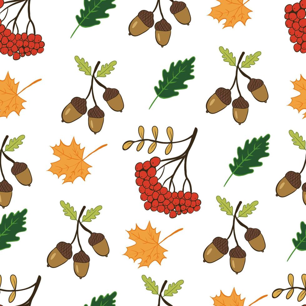 Cute autumn pattern with leaves, acorns and mountain ash. Vector illustration with doodles on the theme of cozy autumn for interior decoration, printing posters, greeting cards, business banners