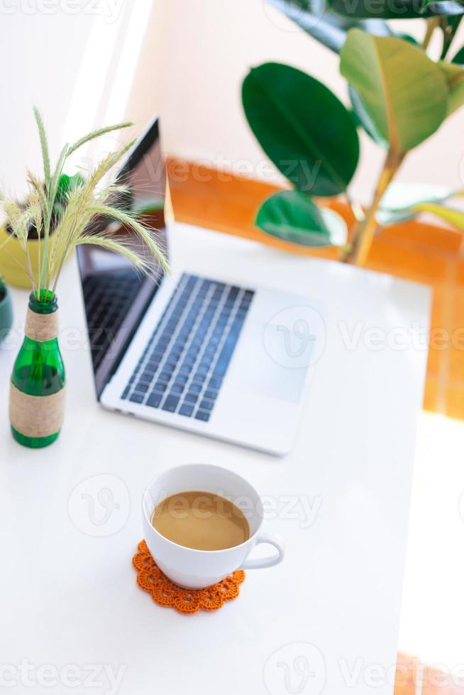 Freelancer workplace, laptop, coffee cup and potted plant on white table photo