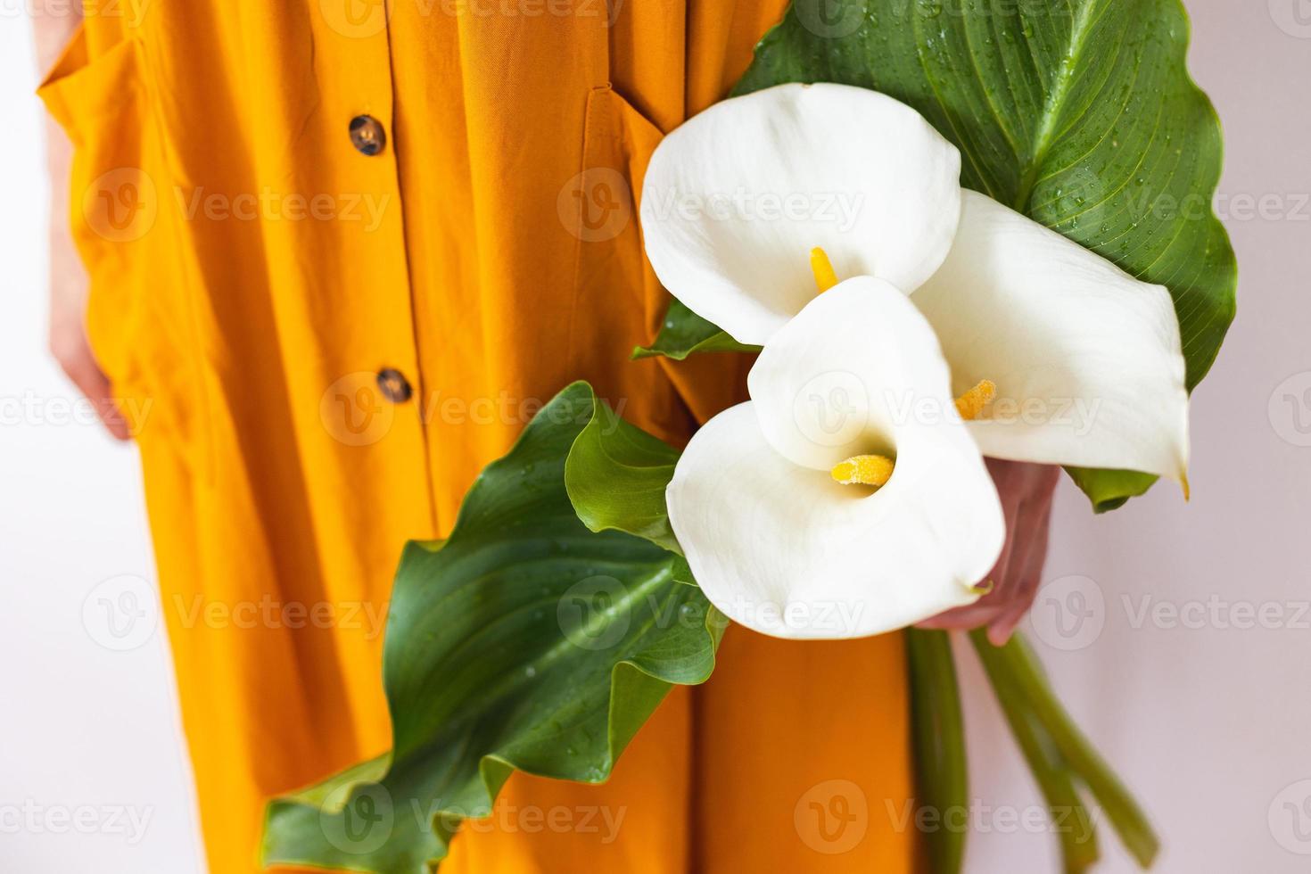 A woman holds a bouquet of callas in her hands photo