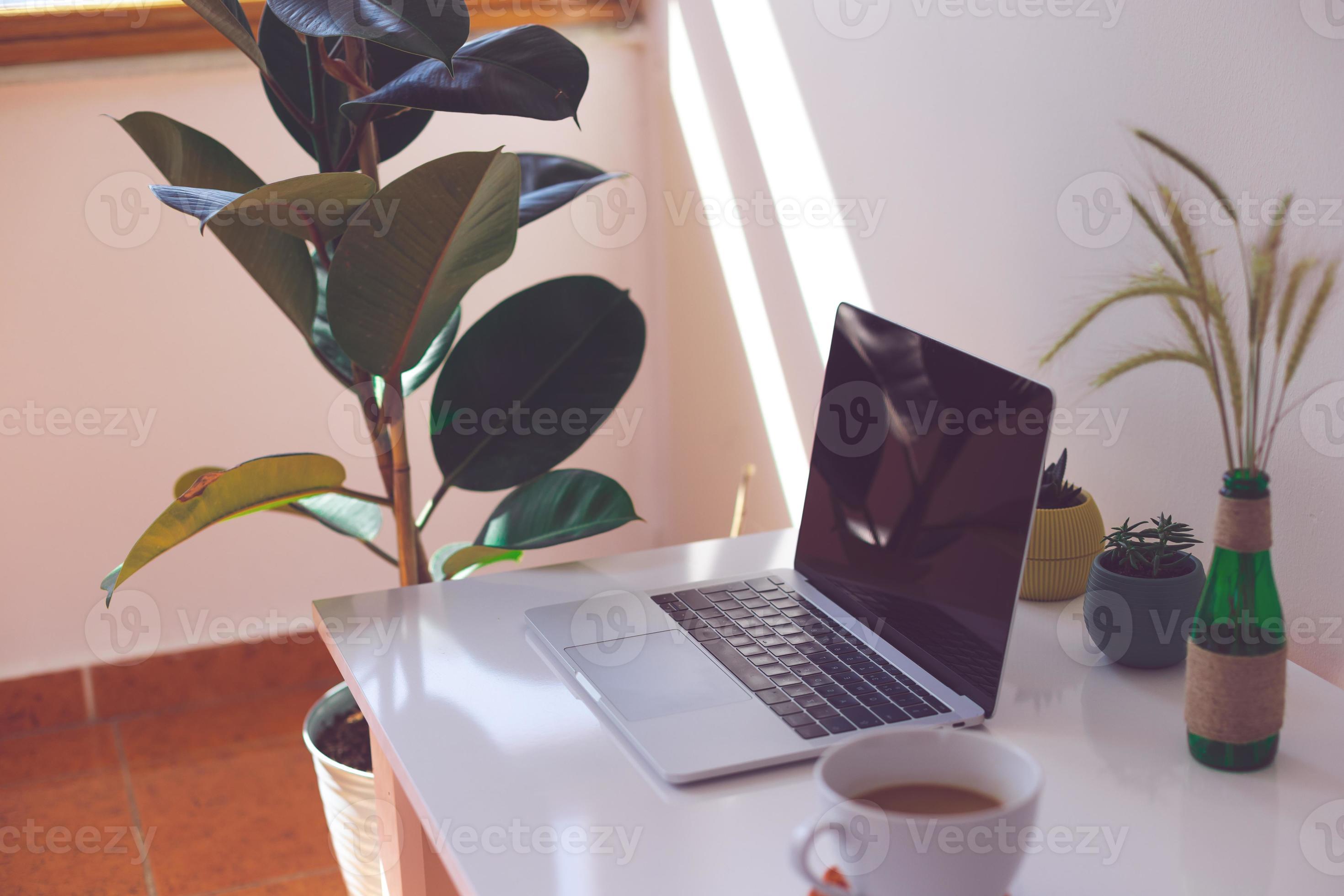  A freelancer is sitting at a desk and working on a laptop while enjoying a cup of coffee.