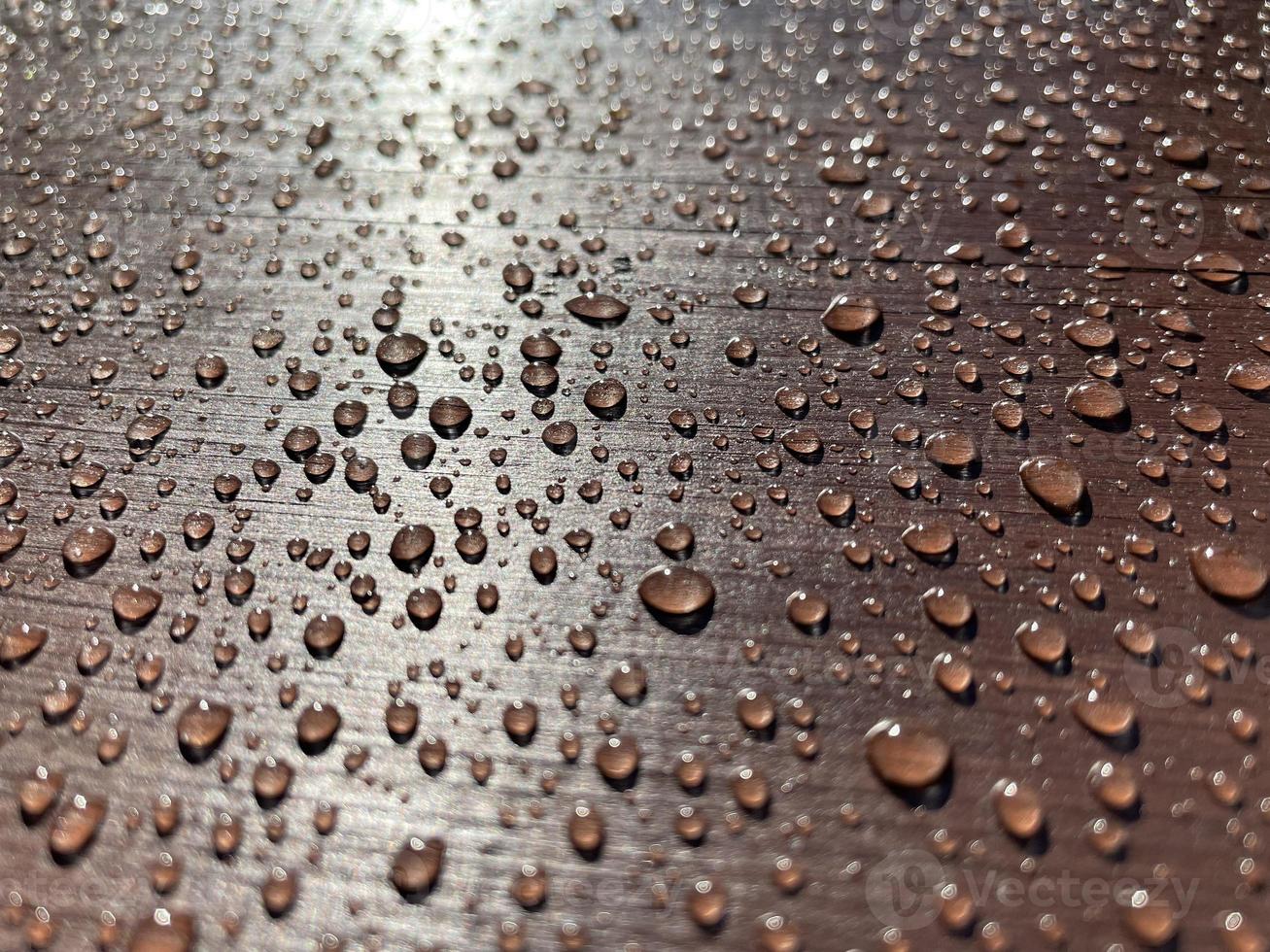 Many drops of water on a dark tree photo