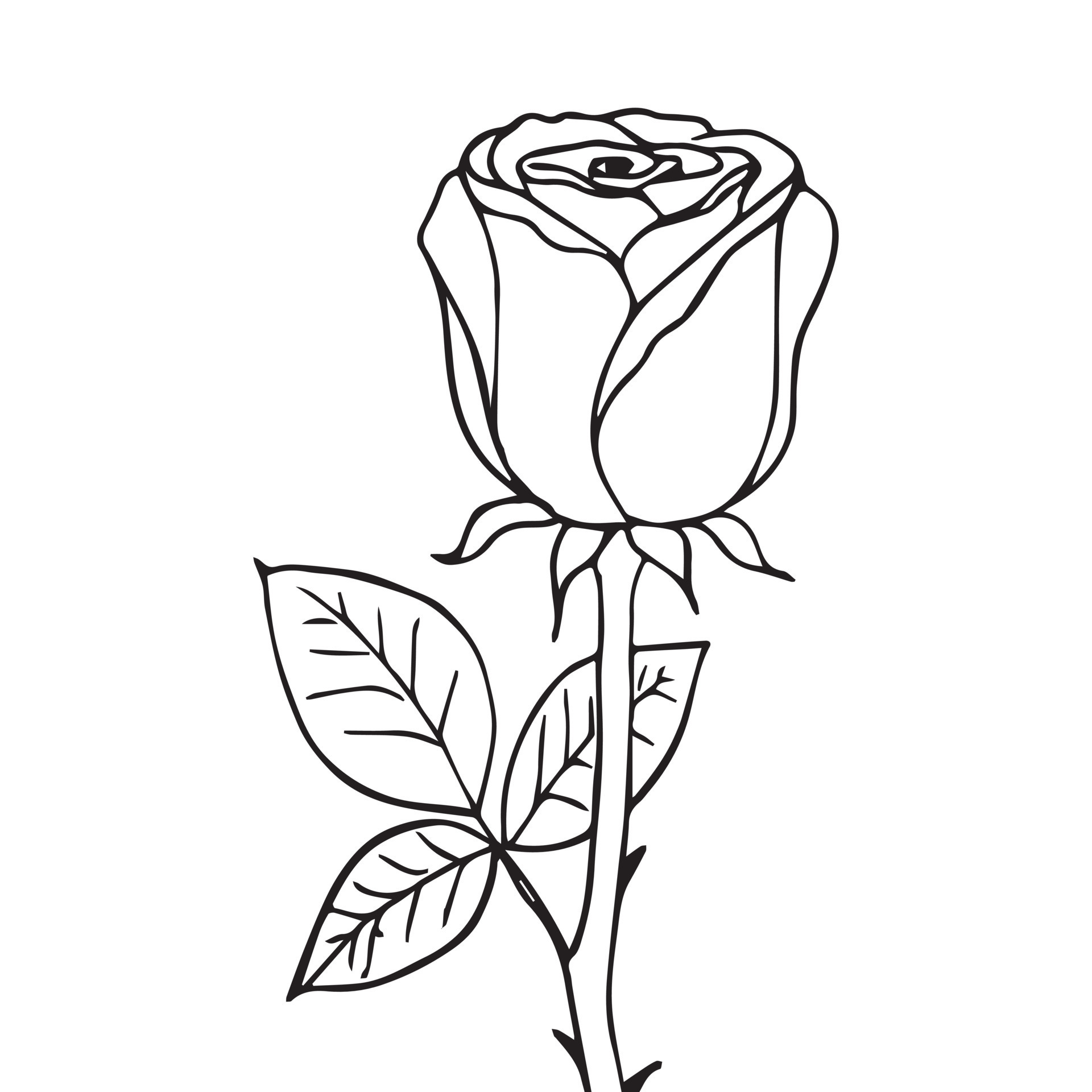 Kids Coloring Pages, Cute Rose Flower Vector illustration EPS And Image ...