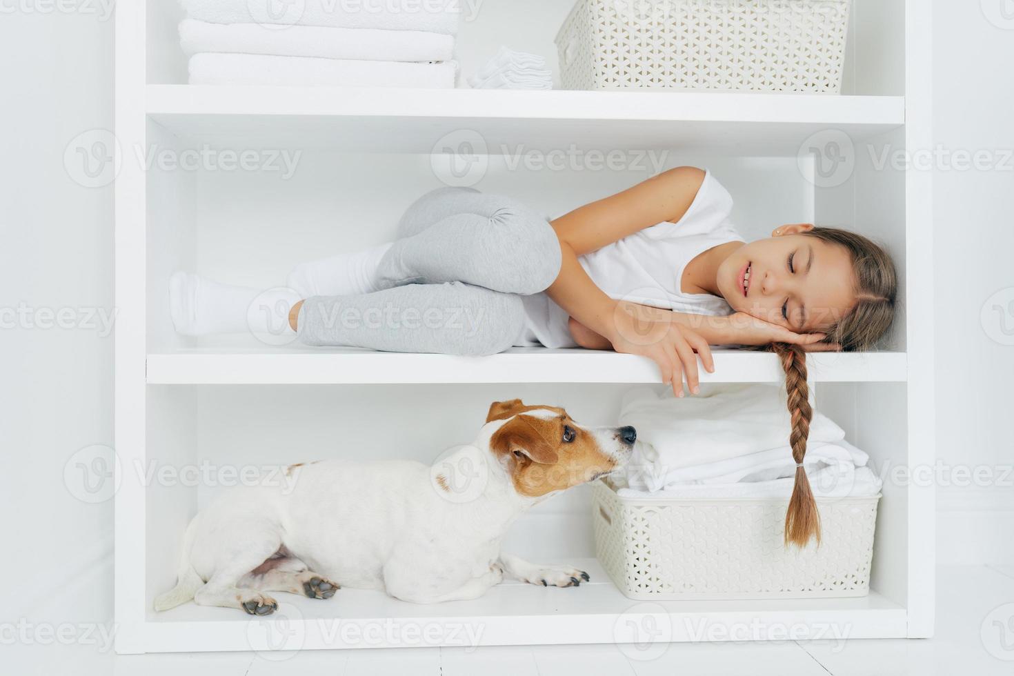 Sleepy little girl feels comfortable as lies on white shelf dressed in casual clothing tired after washing her dog looks attentively. White color. Kid rests in laundry room, enjoys domestic atmosphere photo