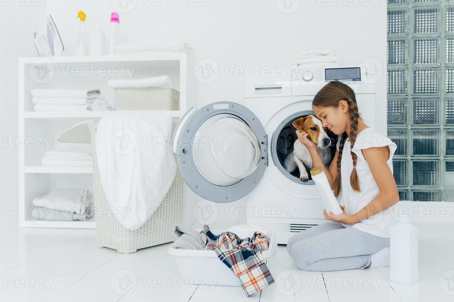 Small child plays with dog russell terrier, poses on knees near washing machine, busy with housekeeping and doing laundry, holds white bottle with washing powder, wears domestic comfortable clothes. photo