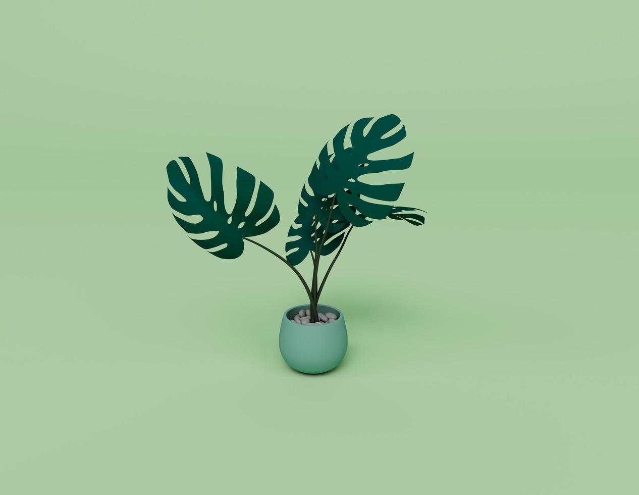 3d renderizado de monstera potted home flower plant tree aislado sobre fondo pastel, escena mínima de fondo 3d foto