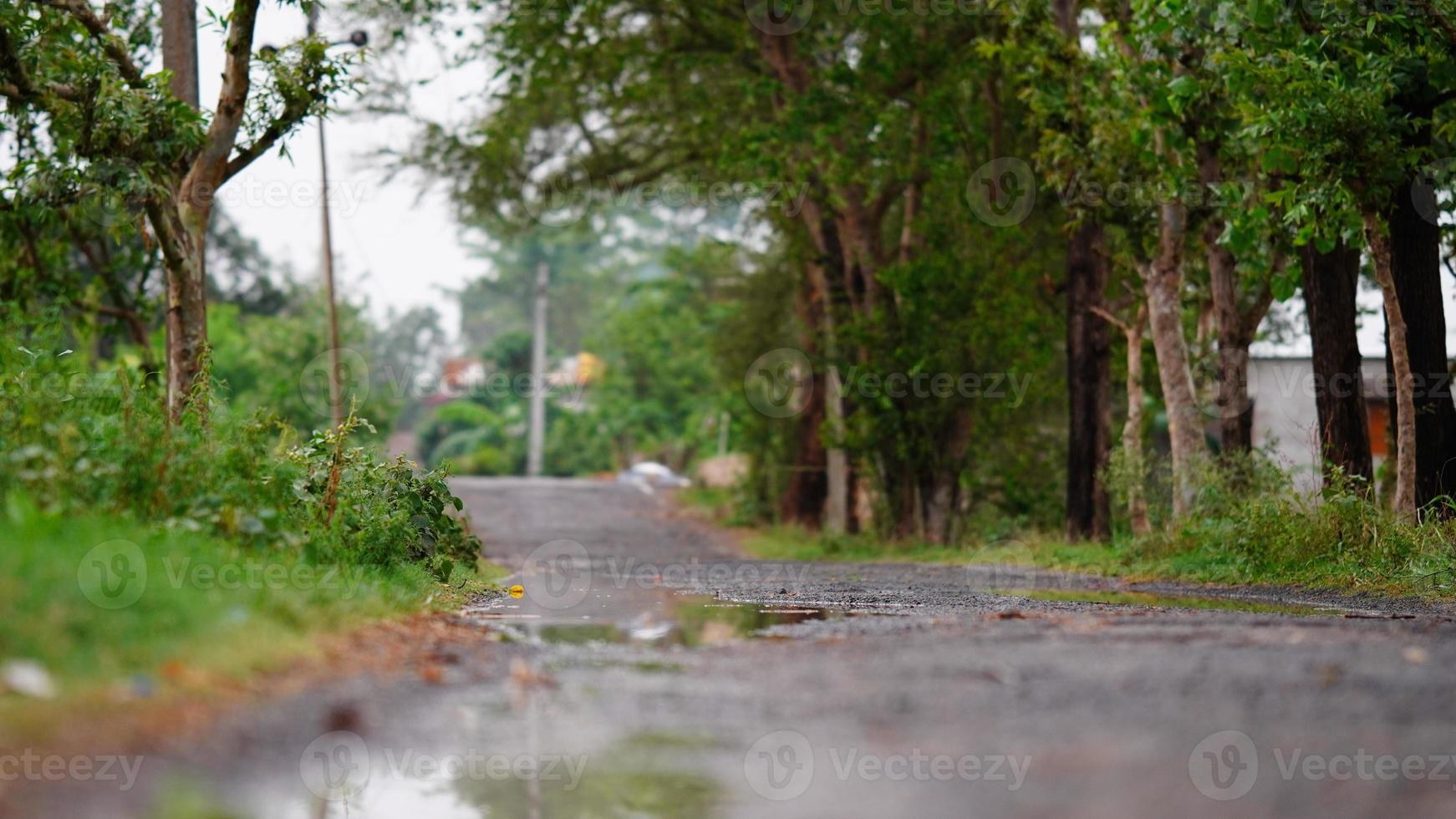 bihar street village image hd photo