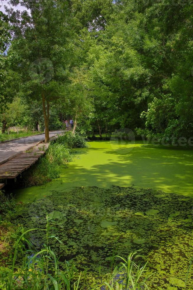 the poitevin marsh photo