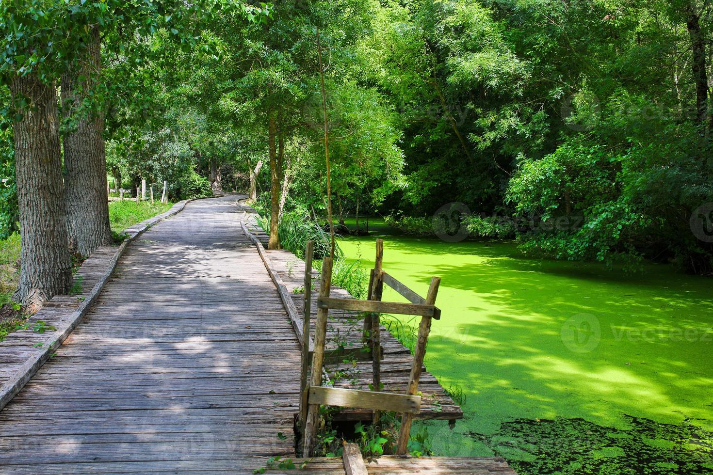 the poitevin marsh photo