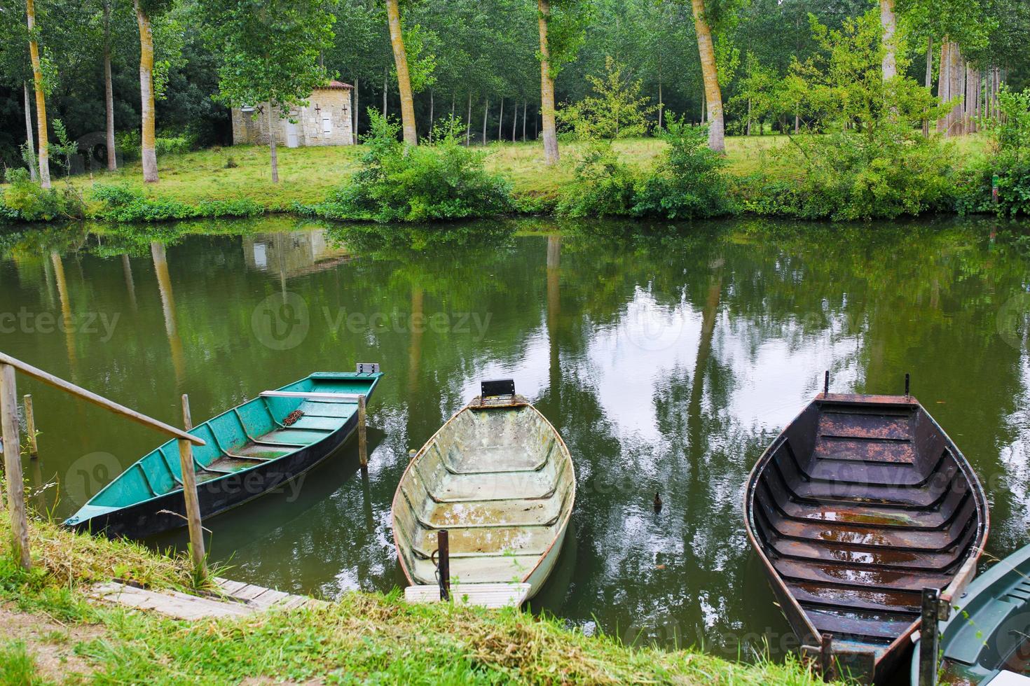 the Poitevin marsh photo