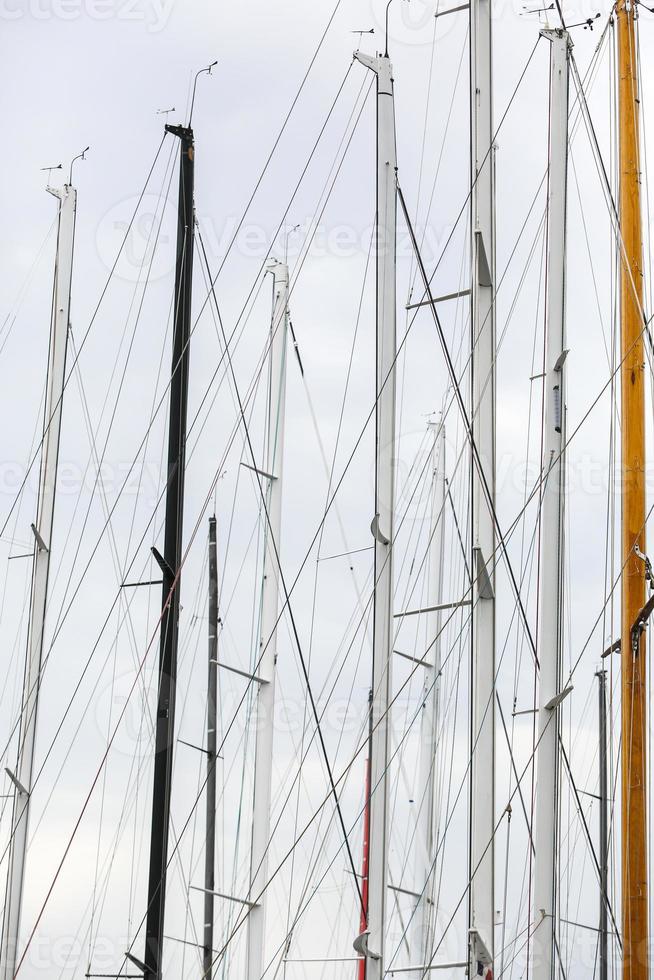 sailing boat race photo