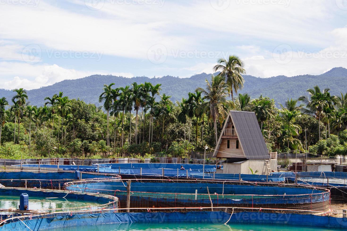 small house used to keep shrimp ponds photo
