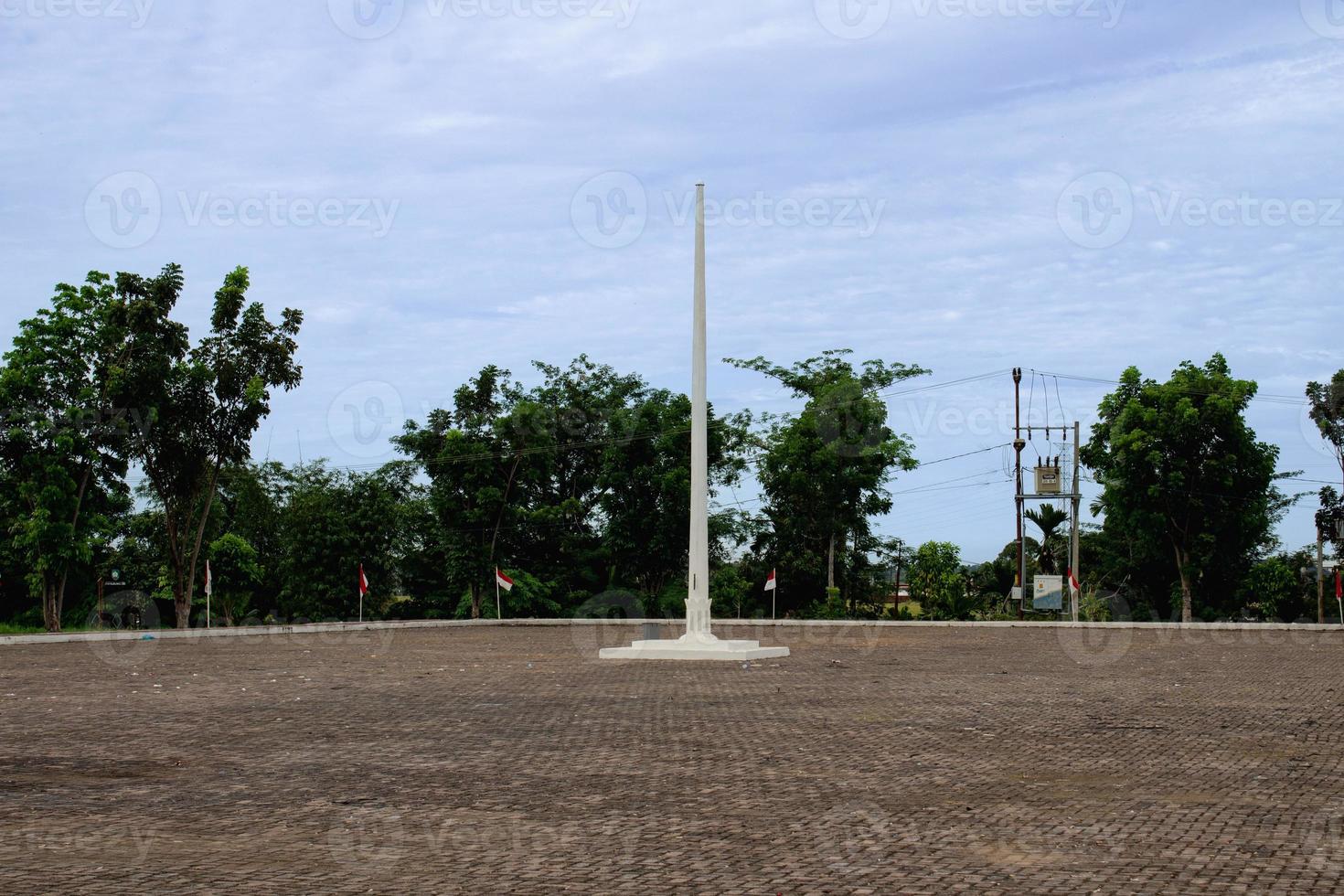 asta de bandera en medio del campo foto