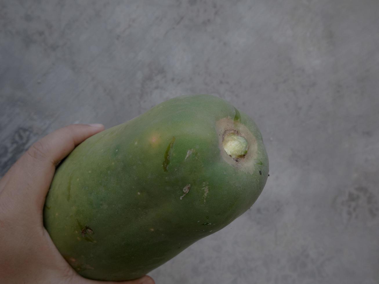a man holding a young papaya photo