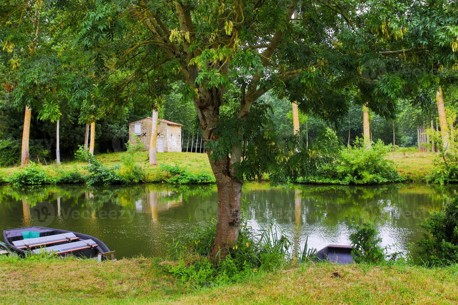 the poitevin marsh photo