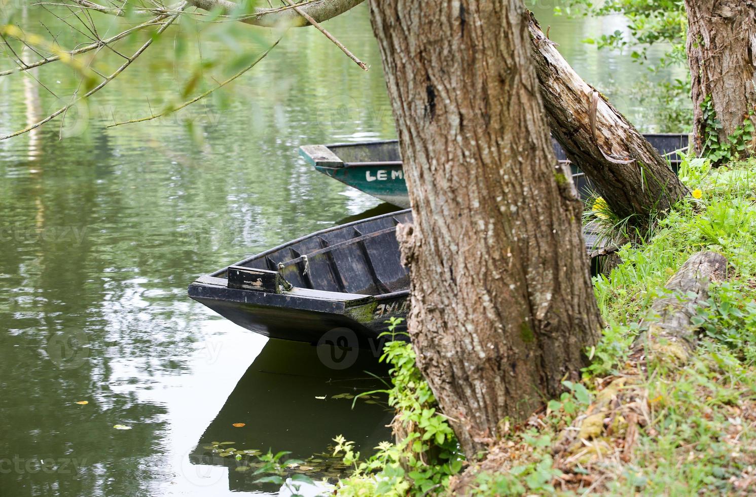 the poitevin marsh photo