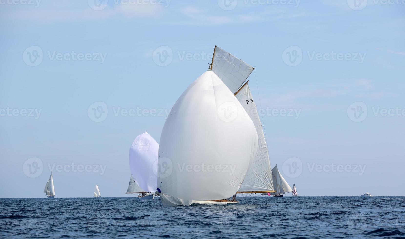 sailing boat race photo