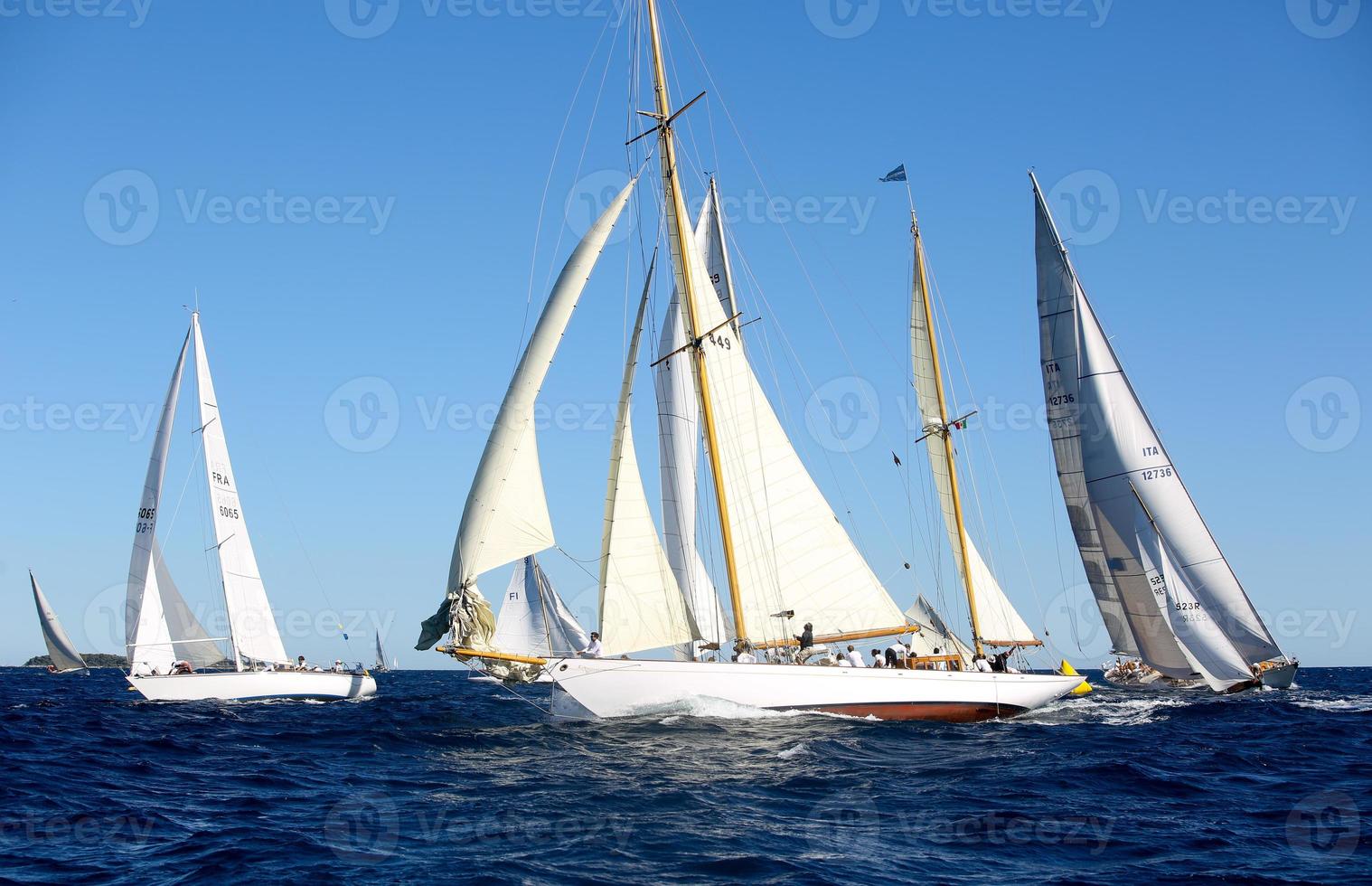 sailing boat race photo