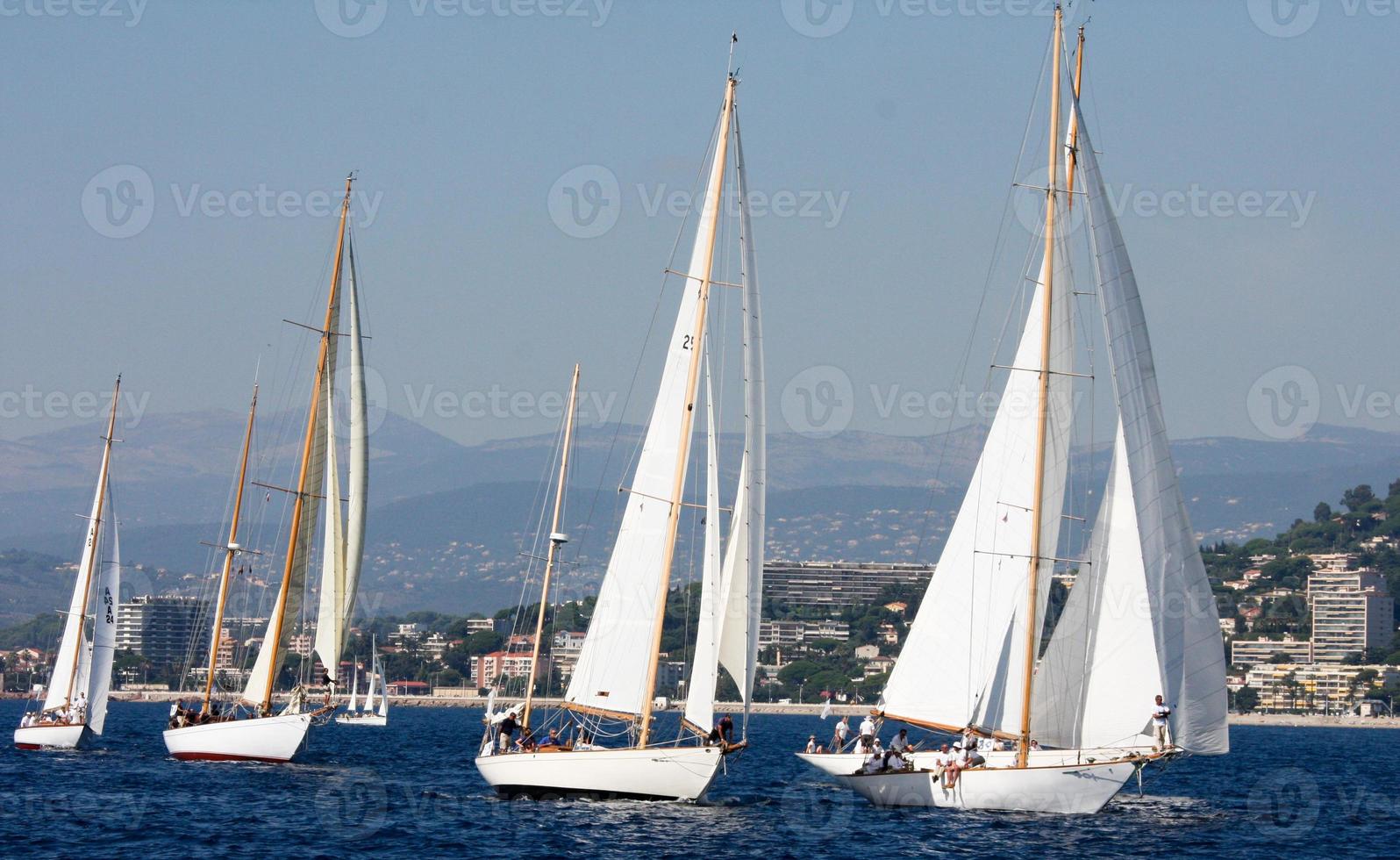 sailing boat race photo