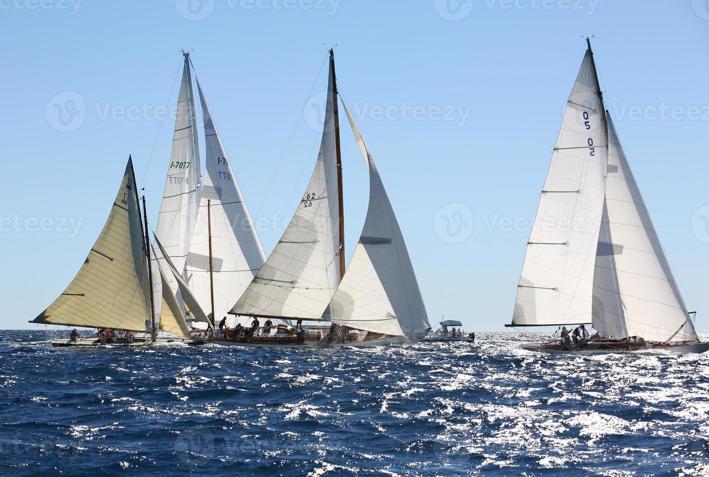 sailing boat race photo