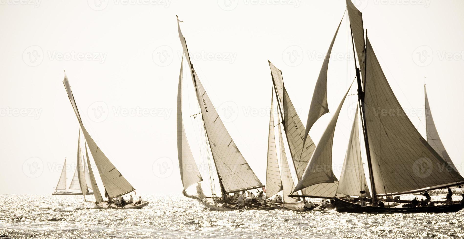 sailing boat race photo