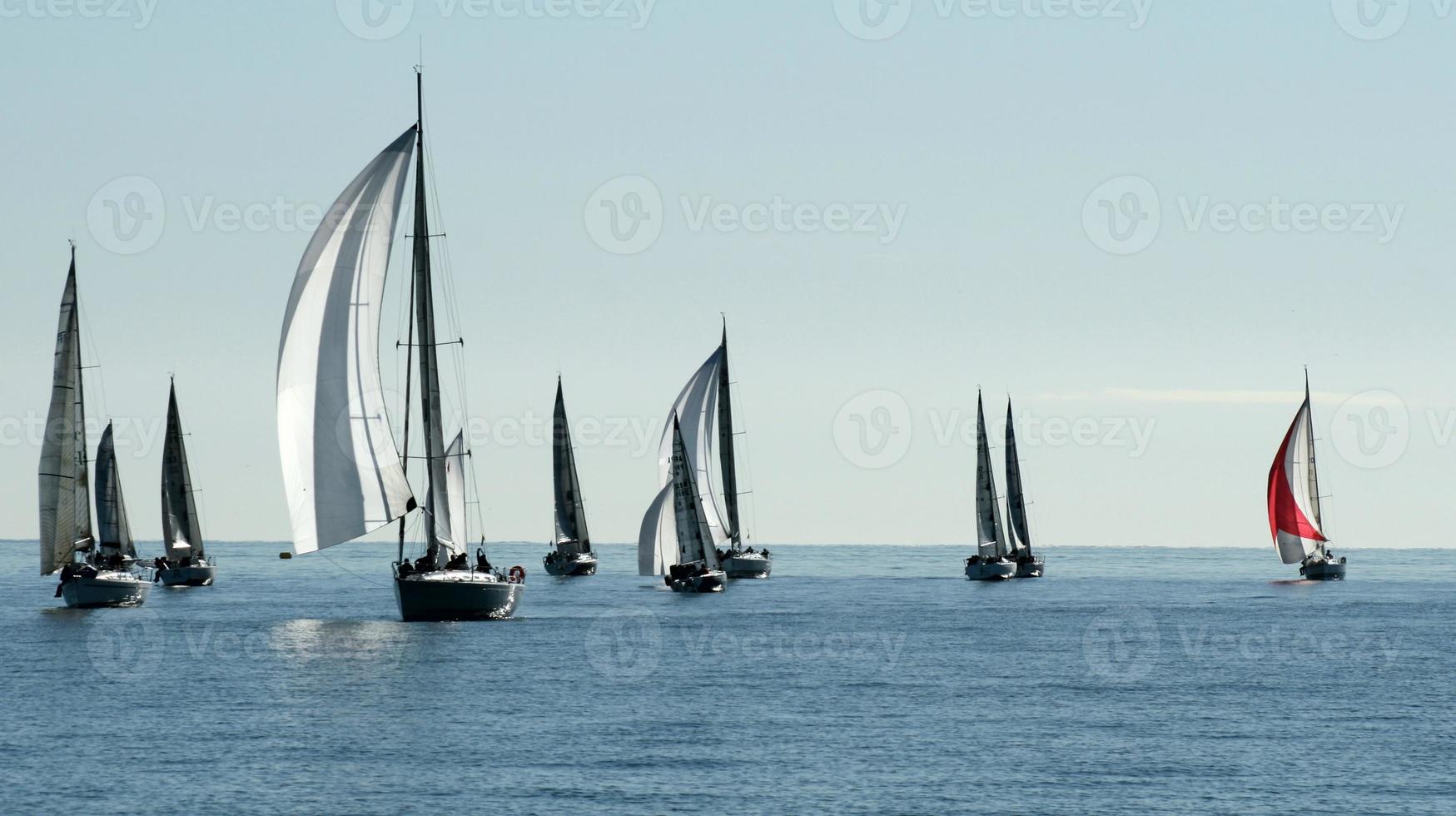 sailing boat race photo