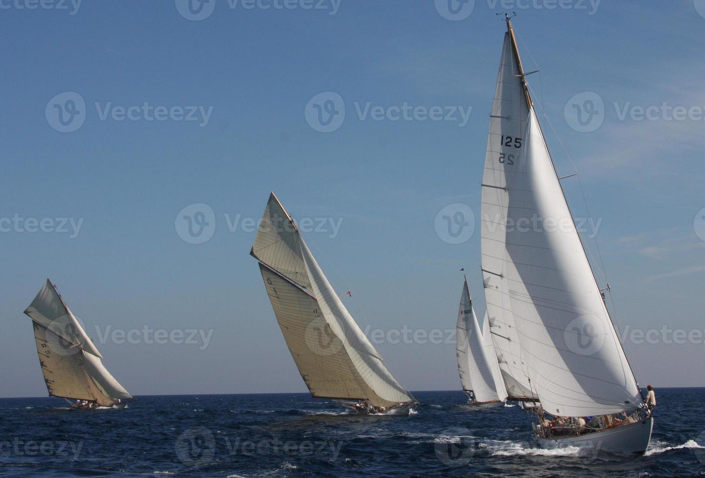sailing boat race photo
