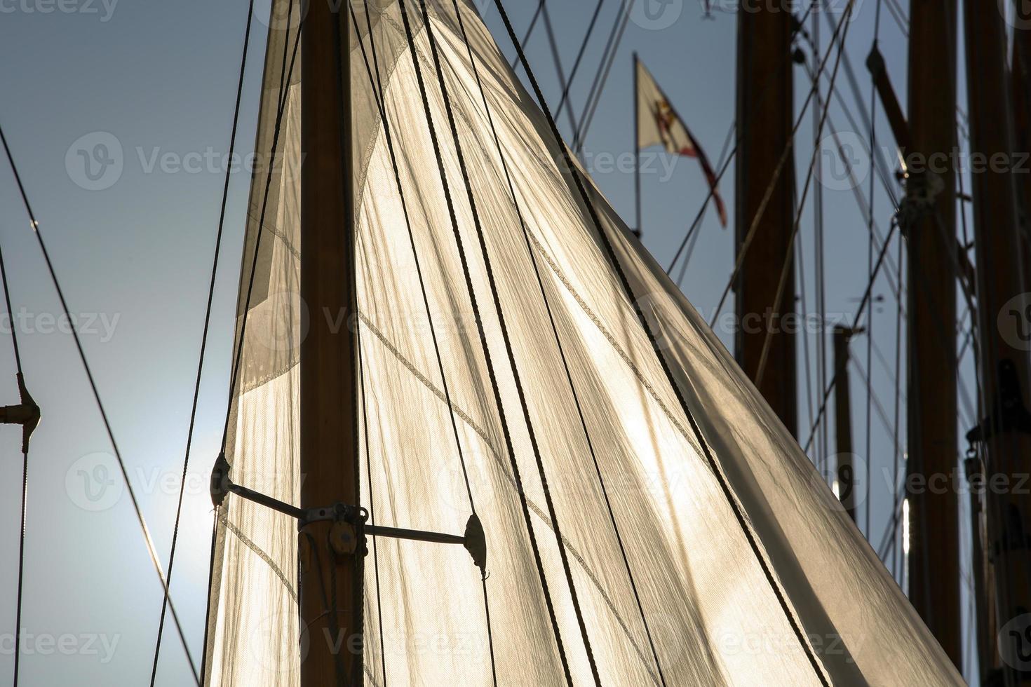 sailing boat race photo