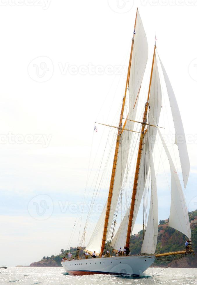 carrera de veleros foto