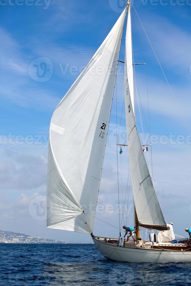 sailing boat race photo