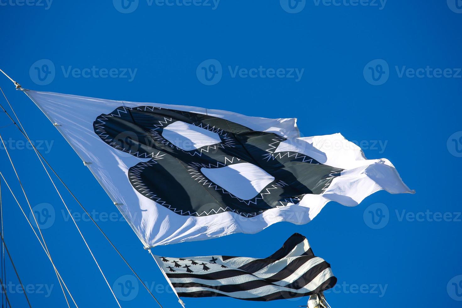 sailing boat race photo