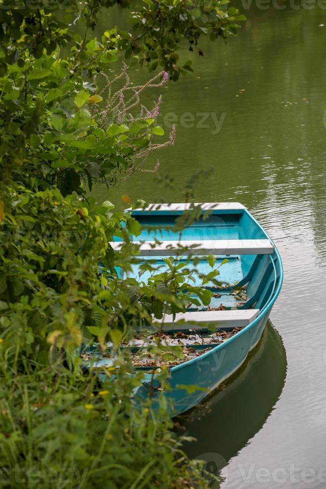 el pantano de poitevin foto