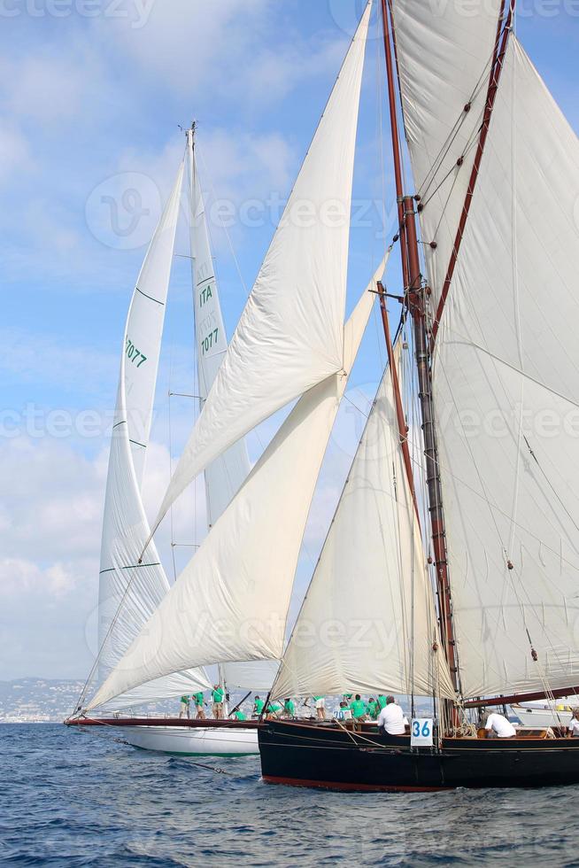 sailing boat race photo