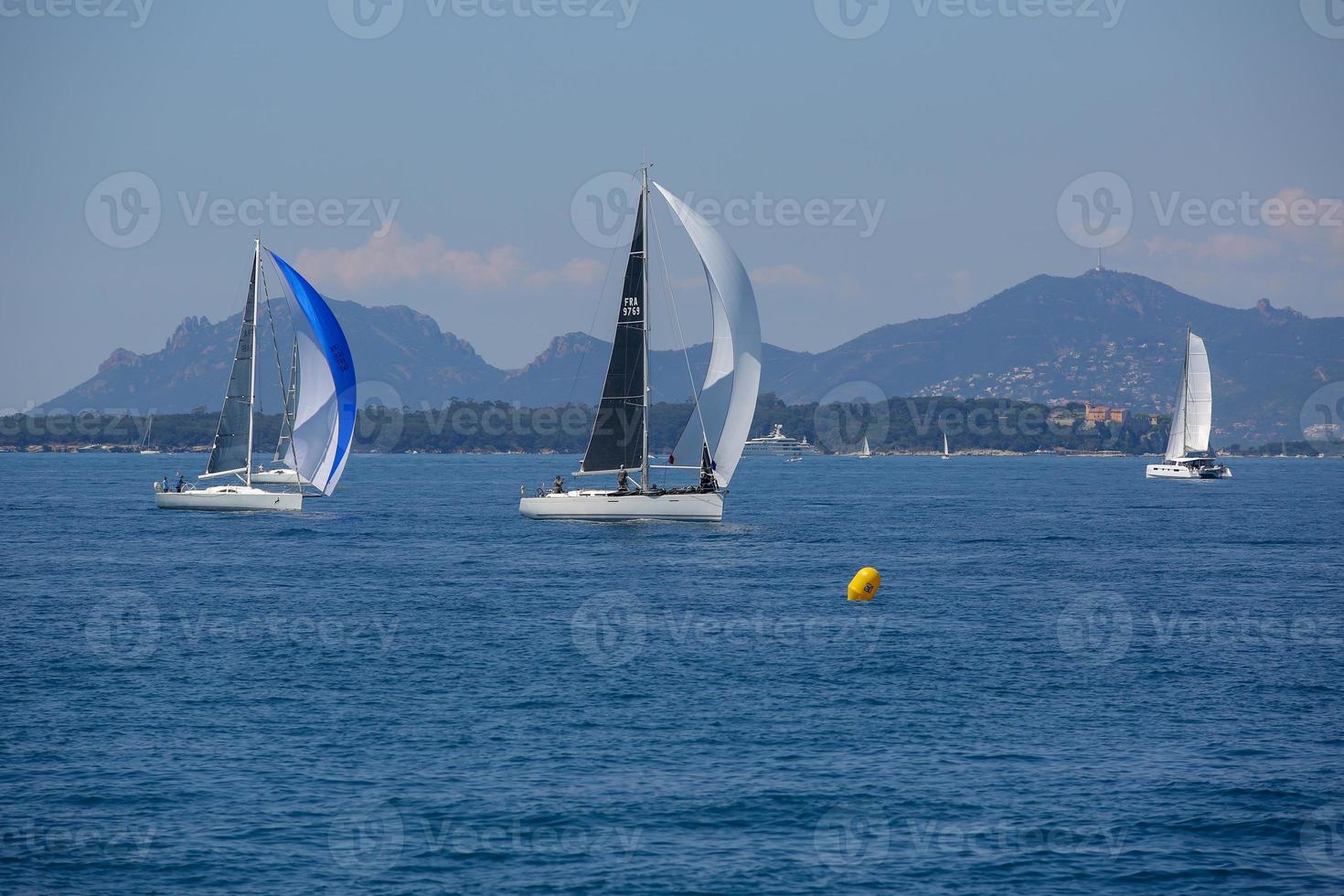 sailing boat race photo