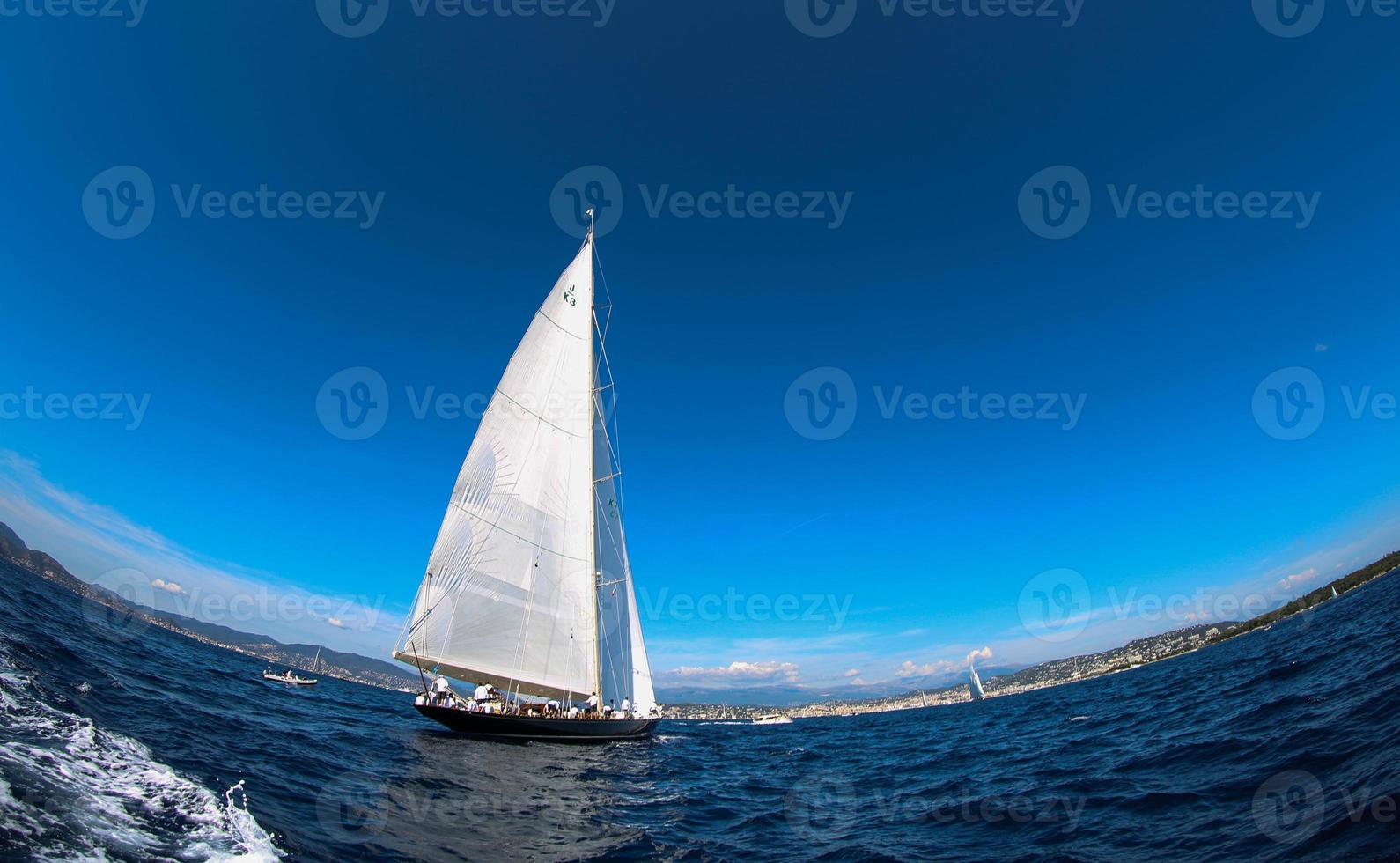 sailing boat race photo