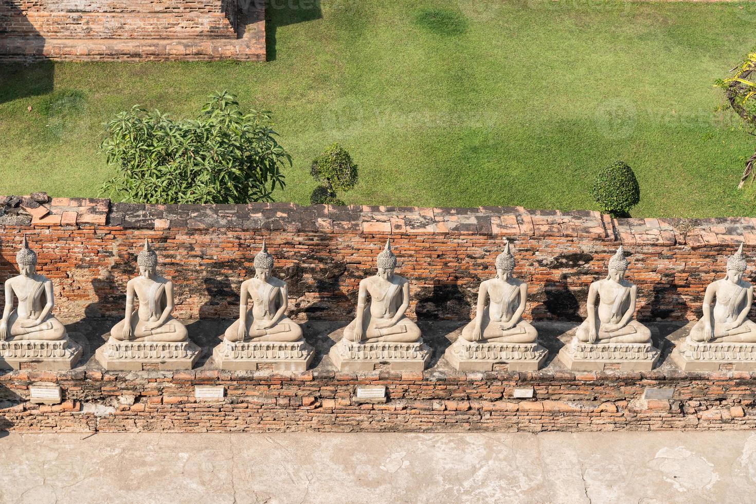 many buddha statues photo