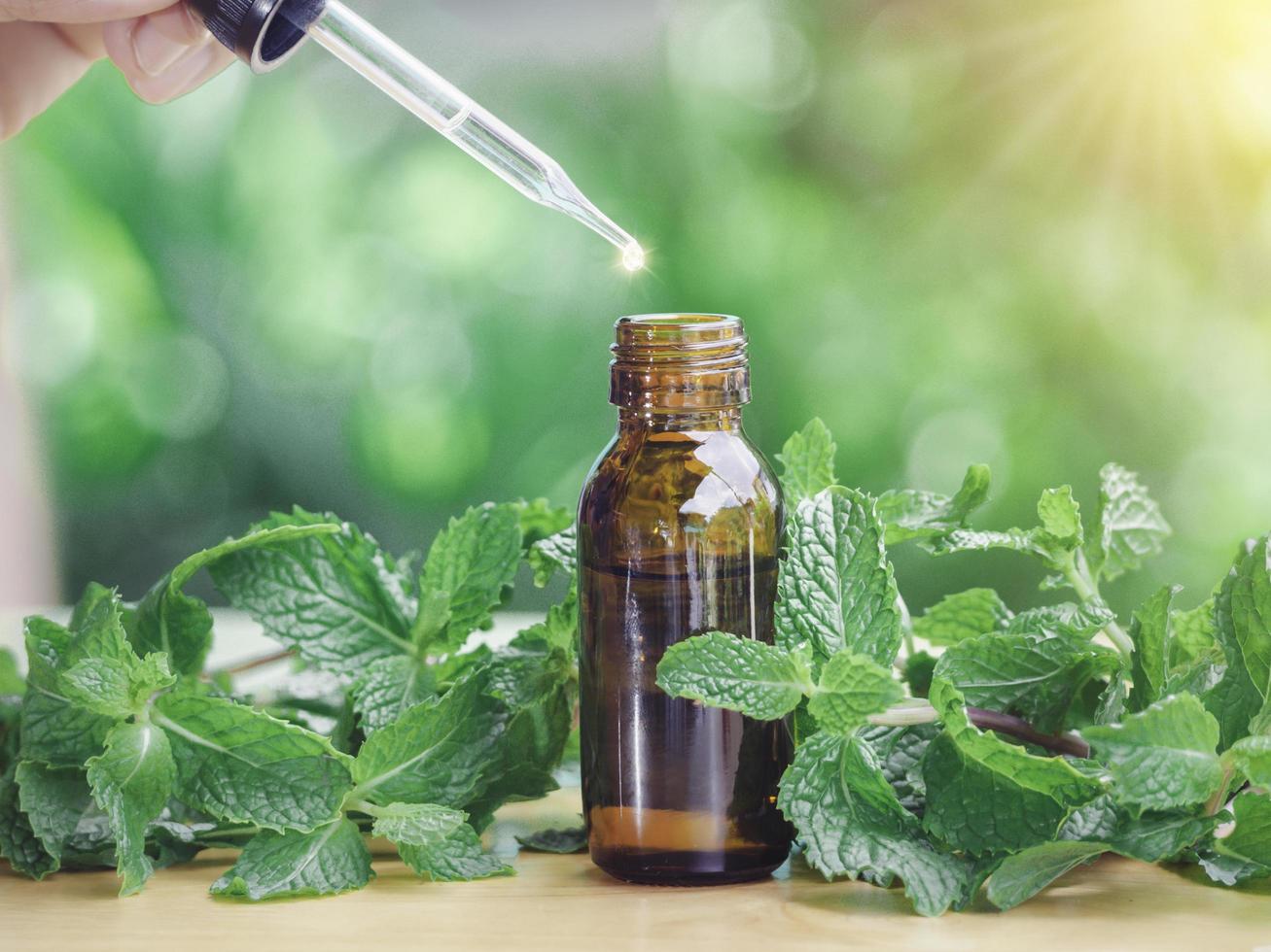The peppermint extract in small bottle near peppermint leaf on wooden table. The essential oil falling from glass dropper into organic bio alternative medicine, brown bottle. photo