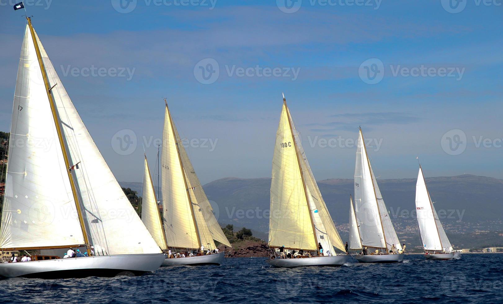 sailing boat race photo