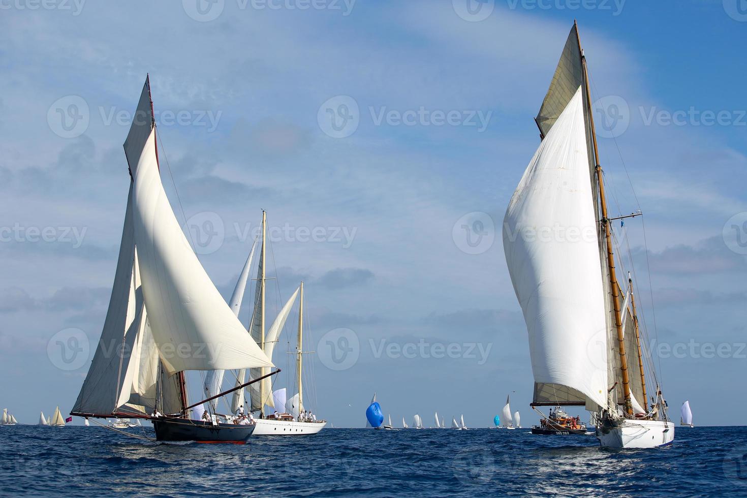 sailing boat race photo