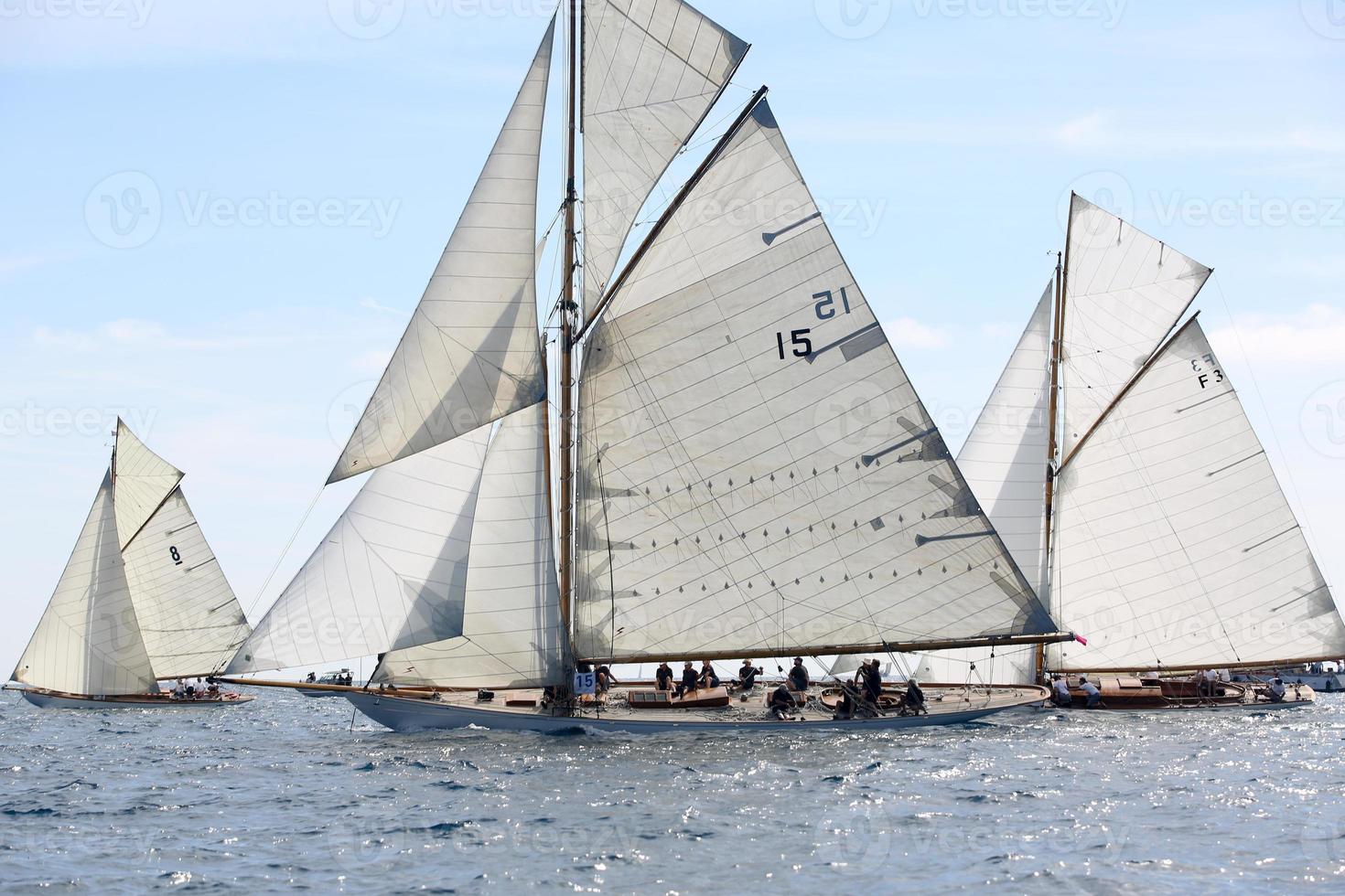 sailing boat race photo