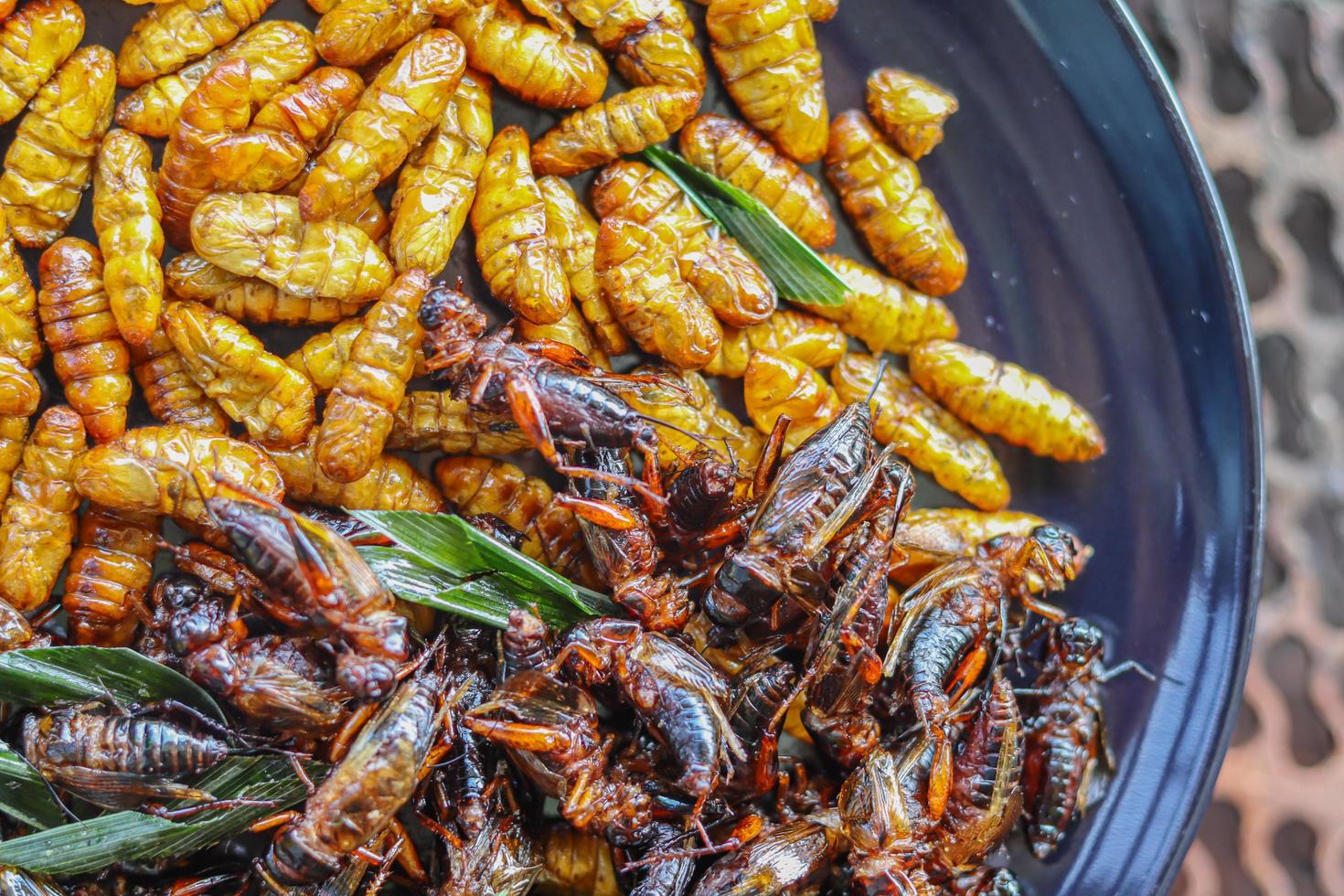 Crispy insects are served in black ceramic plates placed on tables made of steel grates, and fried insects are a popular food paired with alcoholic beverages as they are easy to find and very popular photo